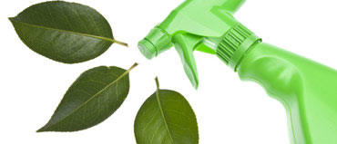 Clean Expressions uses earth-friendly cleaning products.